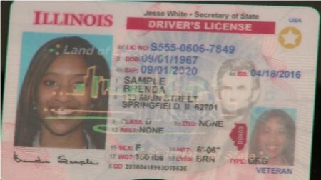 Illinois Driver's License ID Card USA