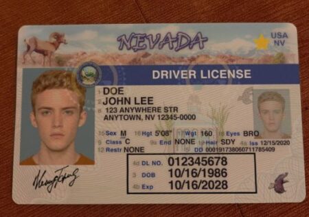 Buy Nevada Driver's License and ID Card