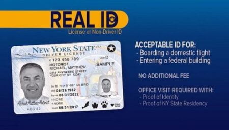 Buy New York Driver's License and ID Card