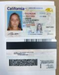 California Driver’s License and ID Card 002