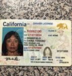 California Driver’s License and ID Card 002