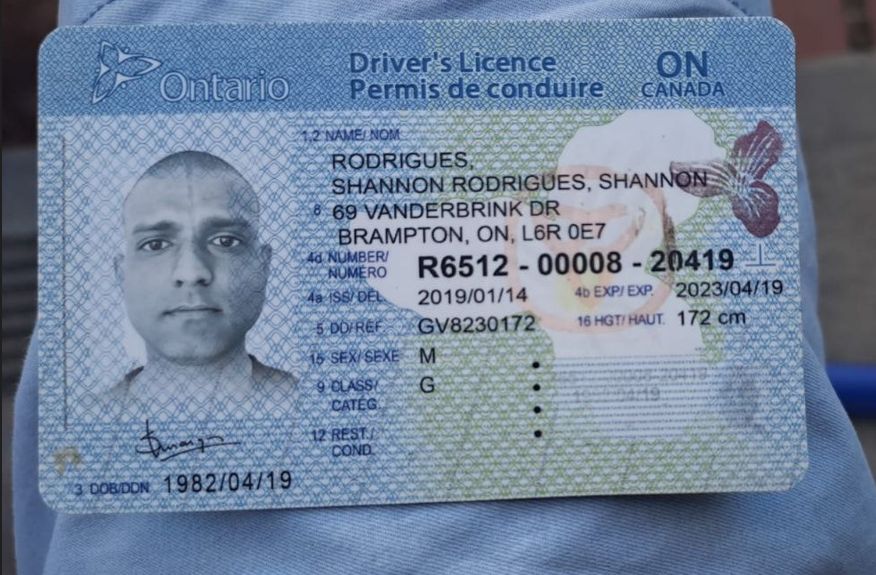 Buy Canada Driver's License » True Documents Global » Canadian DL