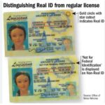 Louisiana Driver’s License and ID Card