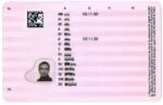 Sweden Driving Licence